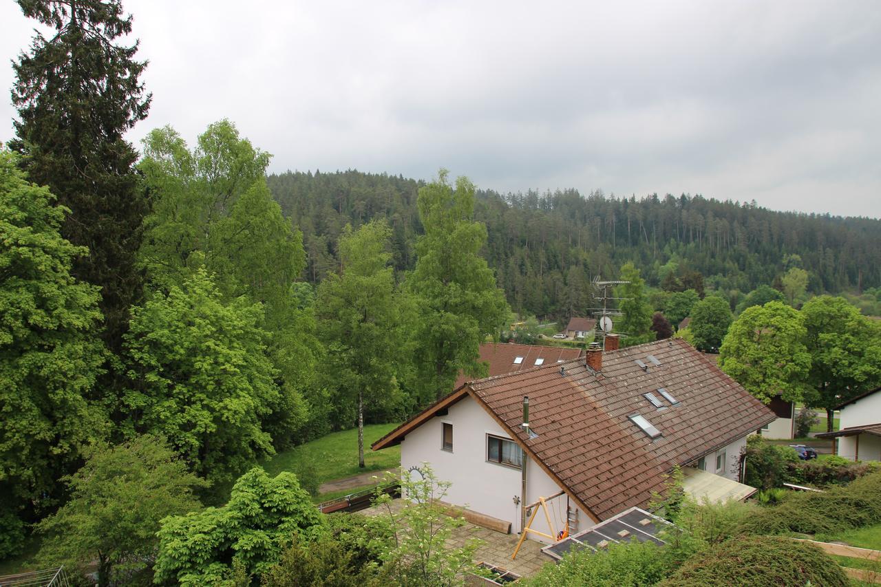 Kuckucksnester Friedenweiler Εξωτερικό φωτογραφία